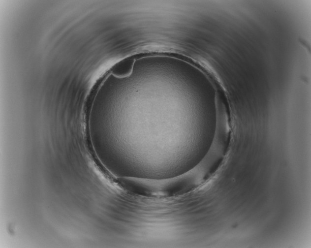 X0000099380981200805151614