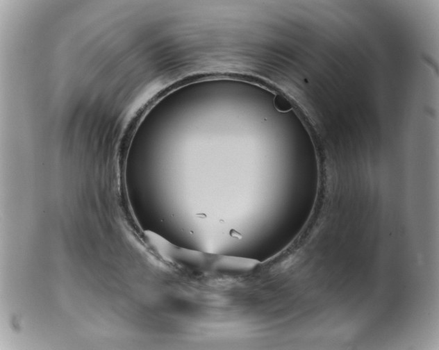 X0000099380982200805151614