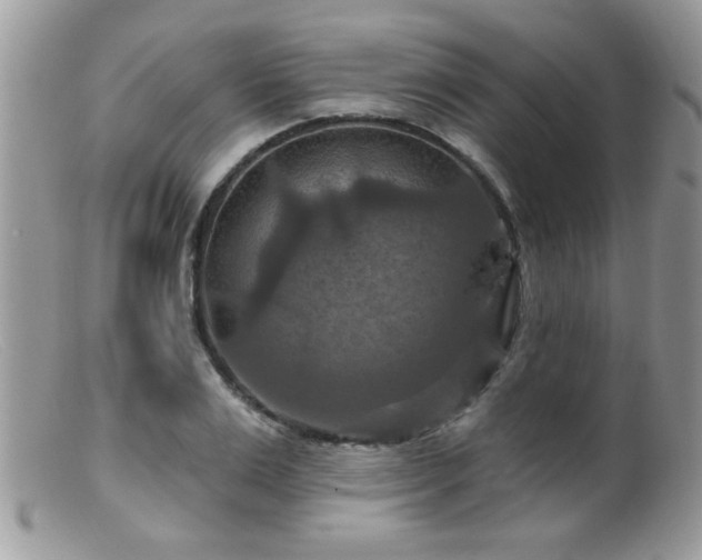 X0000099380983200805151614