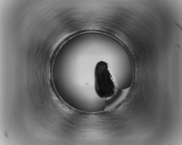 X0000099380984200805151614