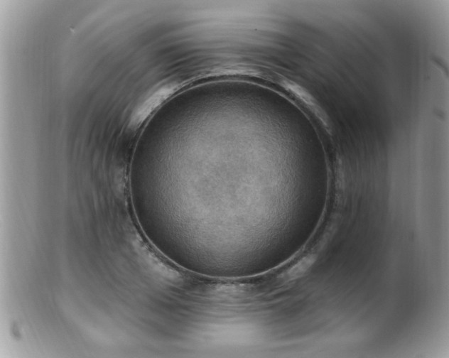 X0000099380985200805151614