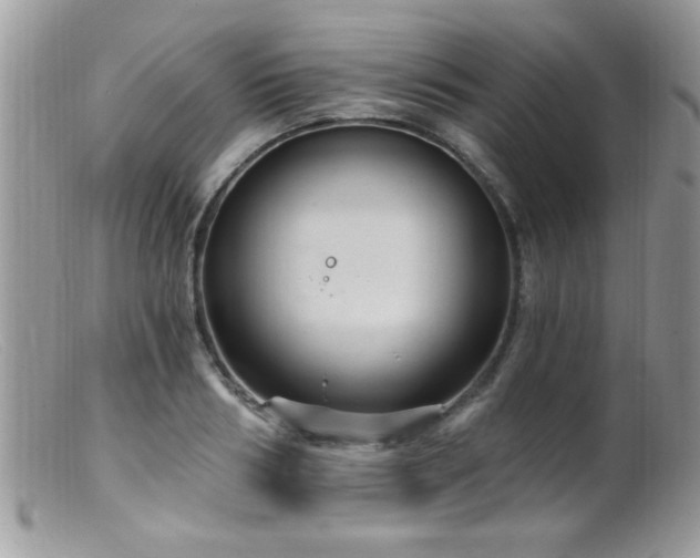 X0000099380986200805151614