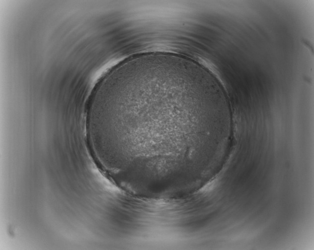 X0000099380987200805151614