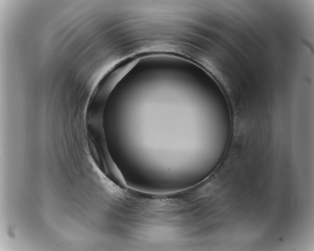 X0000099380988200805151614