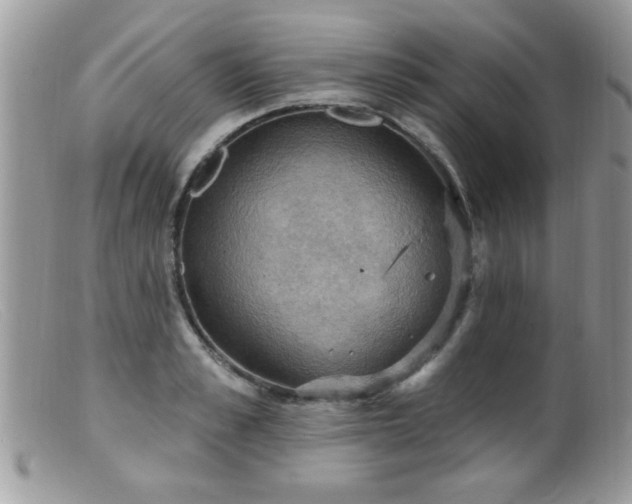 X0000099380989200805151614