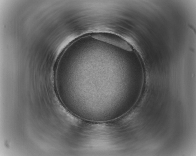 X0000099380990200805151614