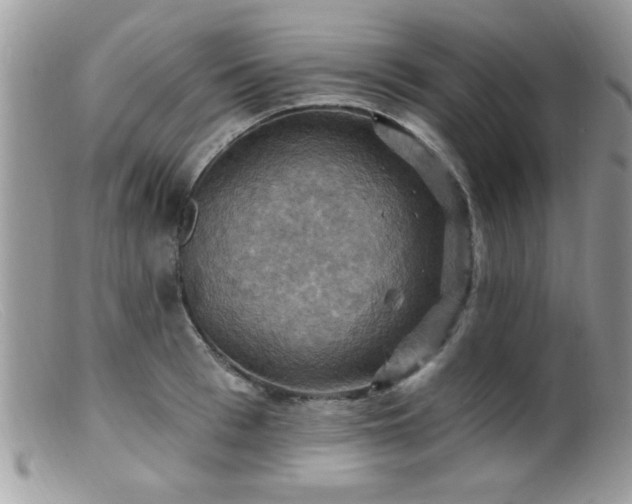 X0000099380993200805151614