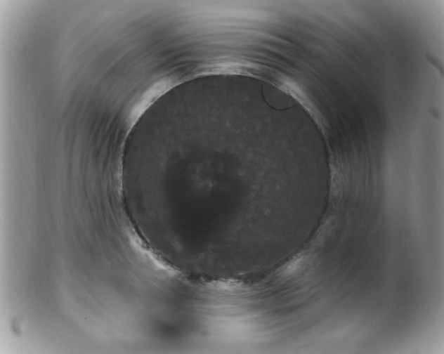 X0000099380994200805151614