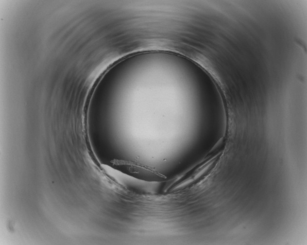 X0000099380996200805151614