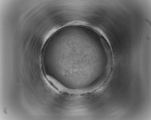 X0000099380997200805151614