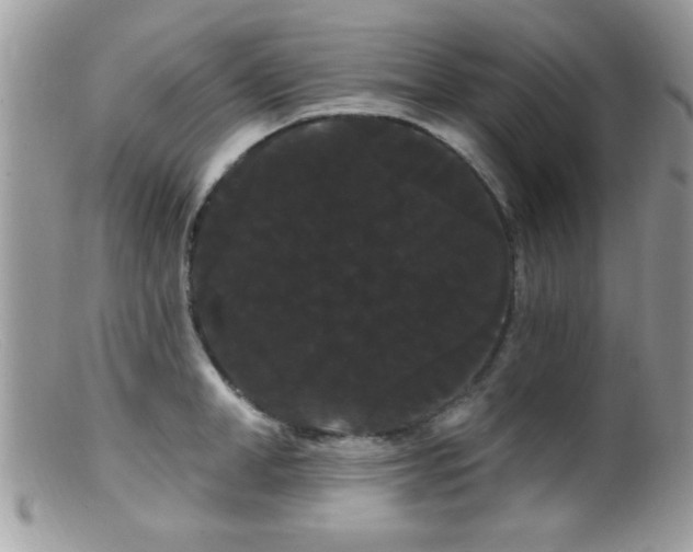 X0000099380998200805151614