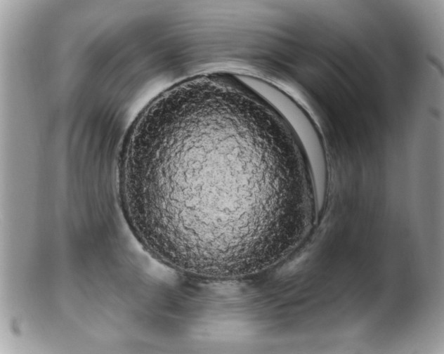 X0000099380999200805151614