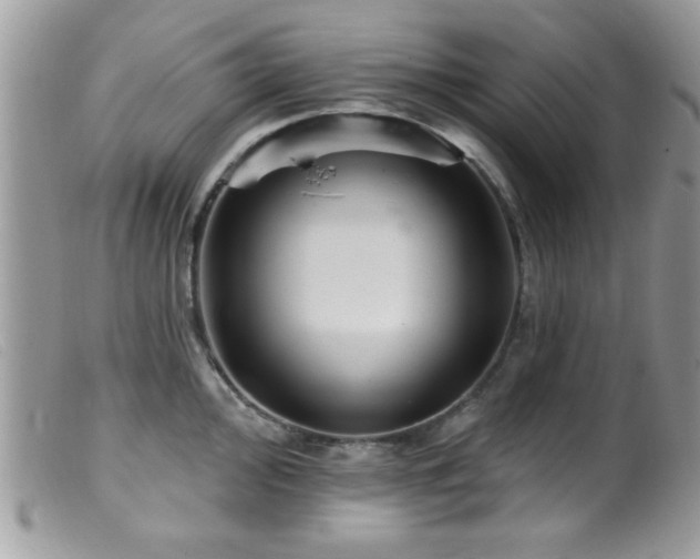 X0000099381000200805151614