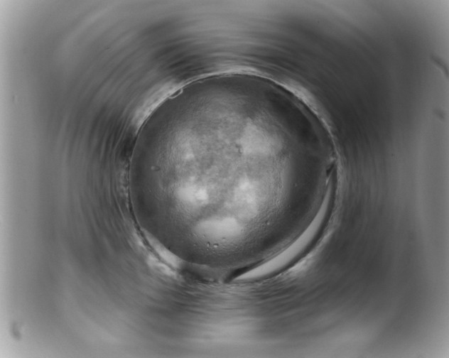 X0000099381001200805151614