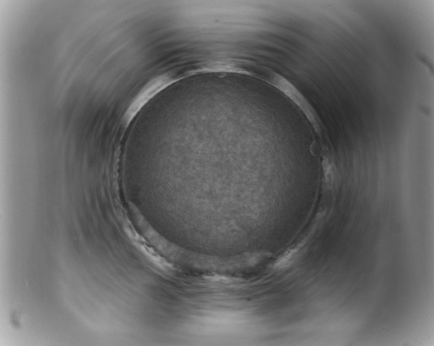 X0000099381002200805151614