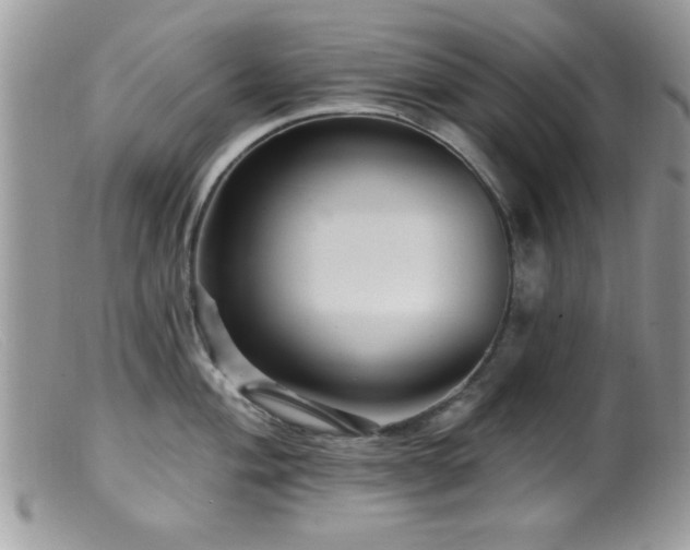 X0000099381004200805151614