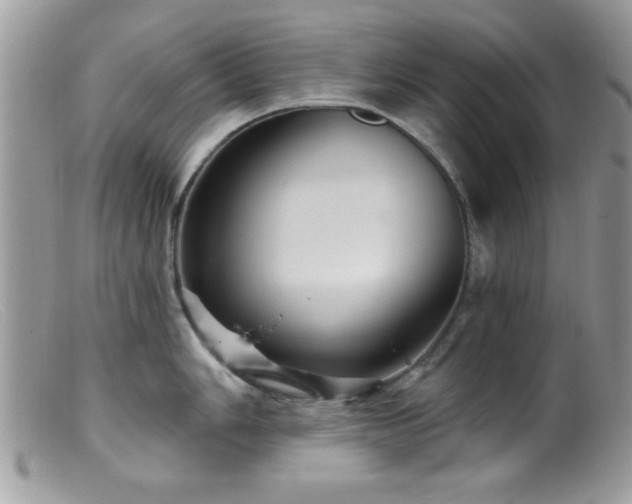 X0000099381006200805151614