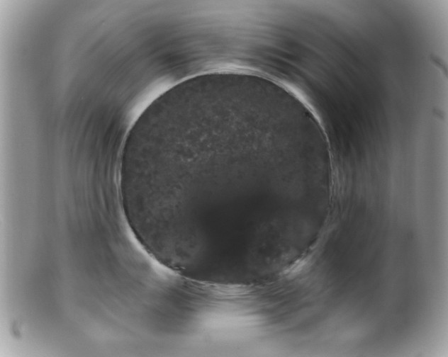 X0000099381007200805151614