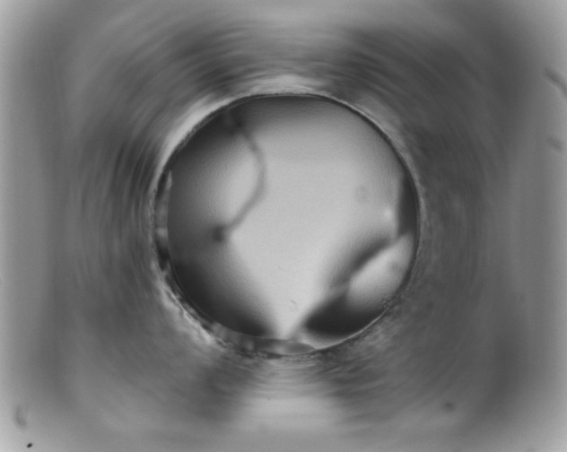 X0000099381008200805151614