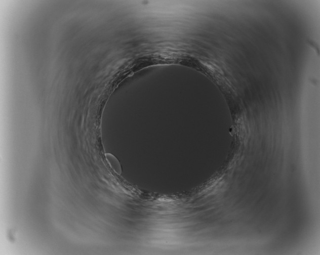 X0000099381009200805151613