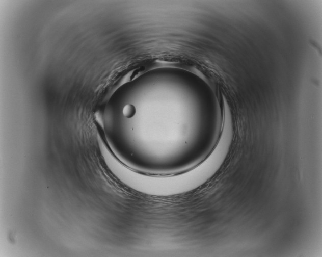 X0000099381012200805151613