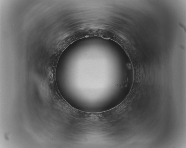 X0000099381013200805151613