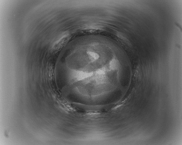 X0000099381014200805151613