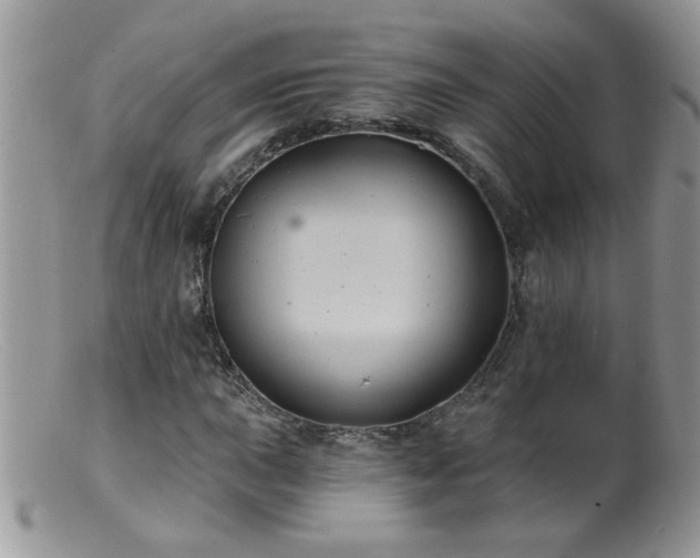 X0000099381015200805151613