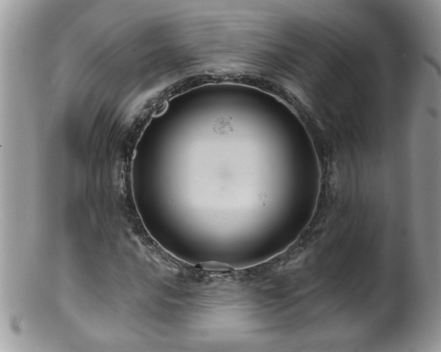 X0000099381016200805151613