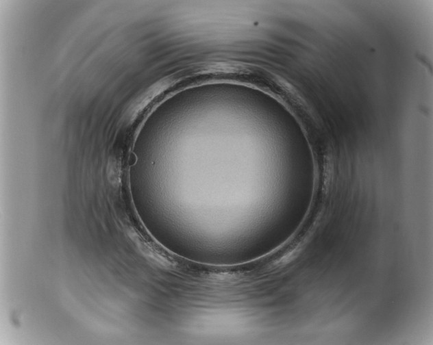 X0000099381017200805151613