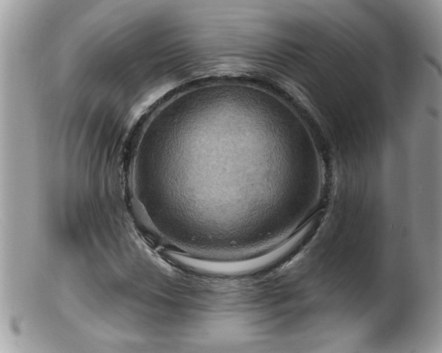 X0000099381018200805151613