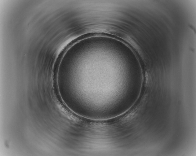 X0000099381020200805151613