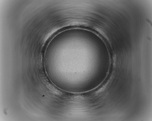 X0000099381021200805151613