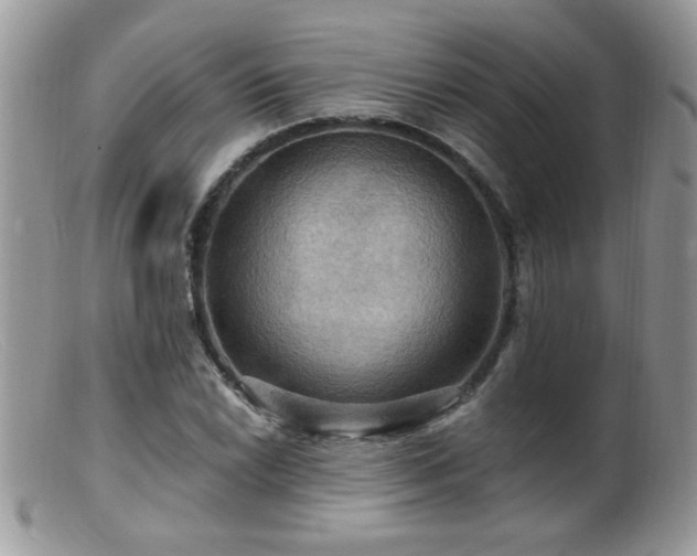 X0000099381022200805151613