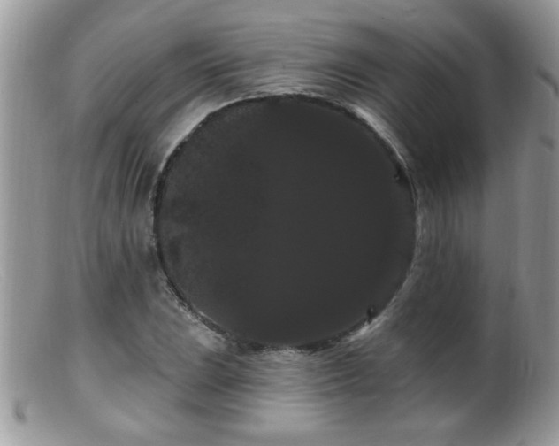 X0000099381023200805151613