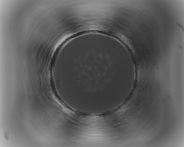 X0000099381024200805151613