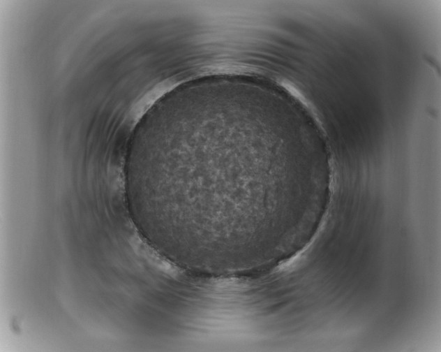 X0000099381025200805151613