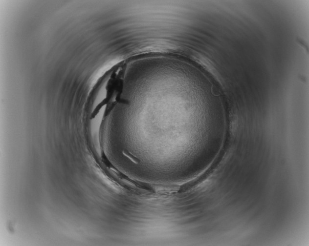 X0000099381026200805151613