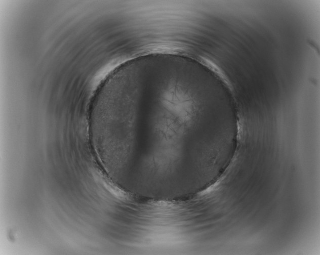 X0000099381027200805151613