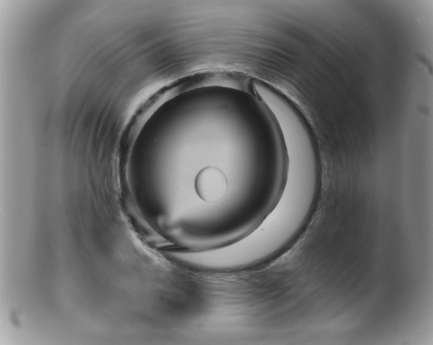 X0000099381030200805151613