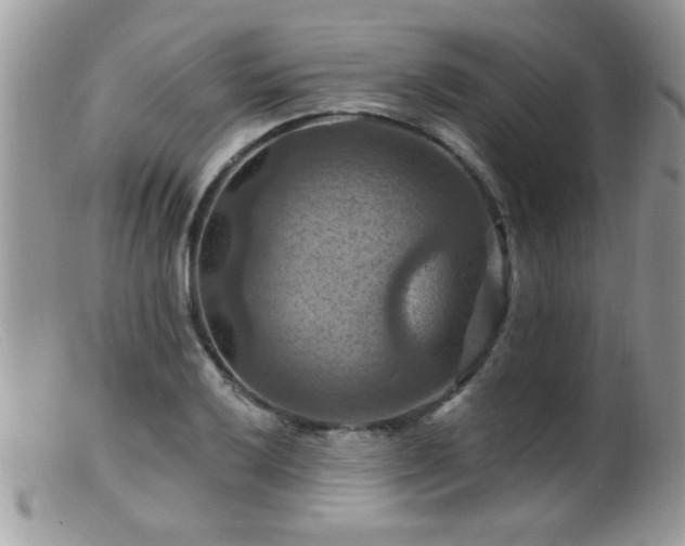 X0000099381032200805151613