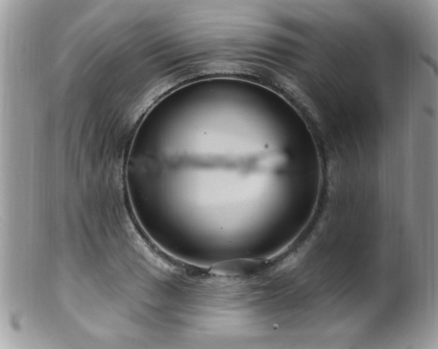 X0000099381033200805151613