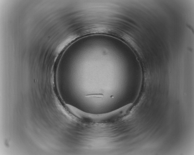 X0000099381034200805151613