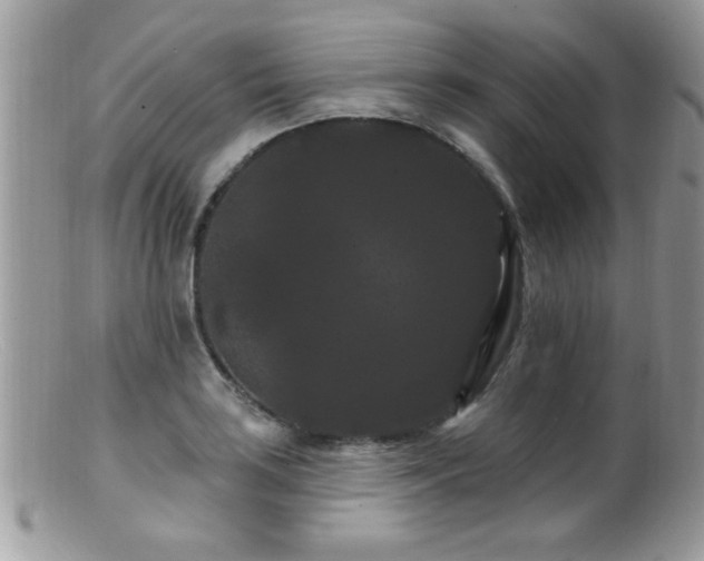 X0000099381035200805151613