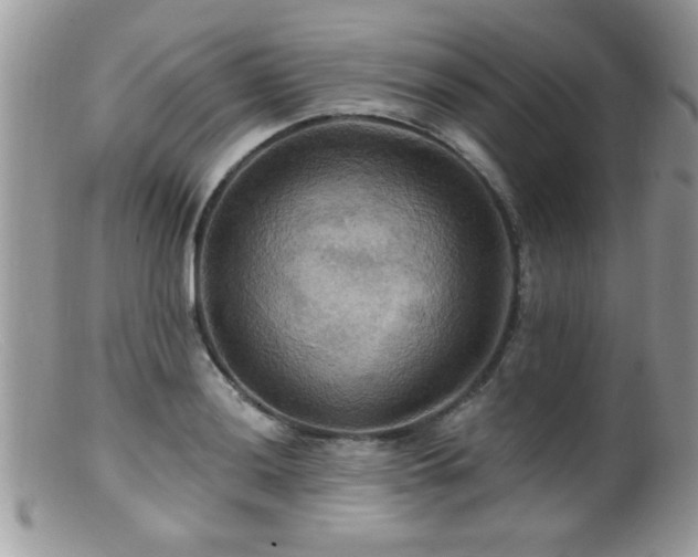 X0000099381036200805151613