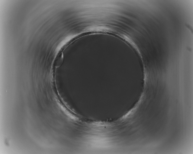 X0000099381037200805151613