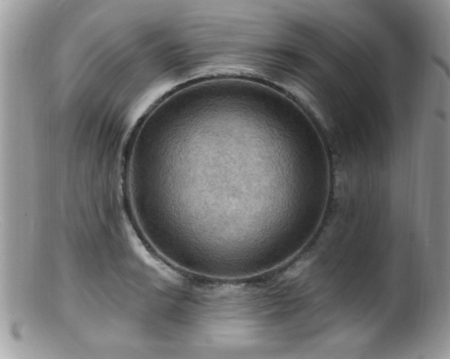 X0000099381038200805151613