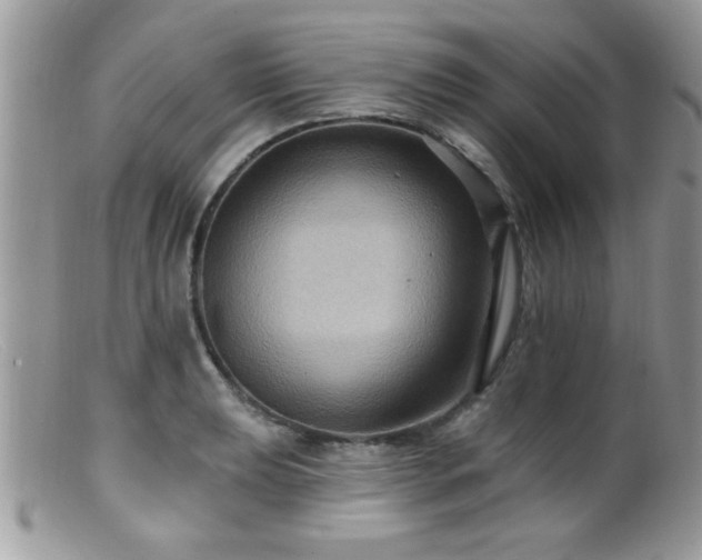 X0000099381039200805151613