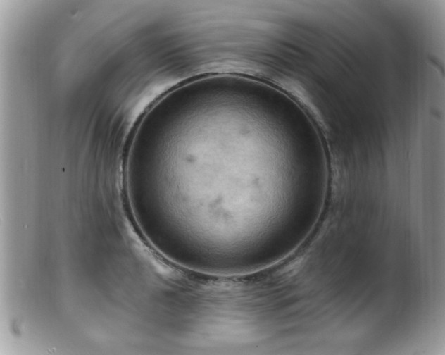 X0000099381040200805151613