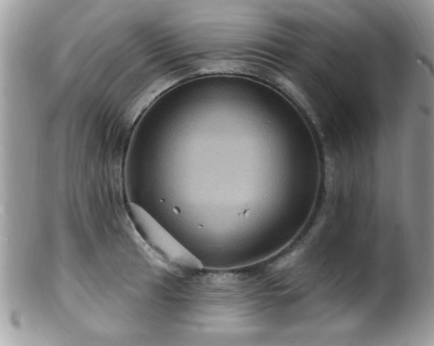 X0000099381041200805151614